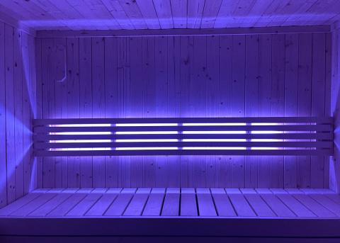 SaunaLife Mood Lighting for Model X6 Sauna - Sauna Heater Supply