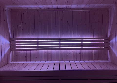 SaunaLife Mood Lighting for Model X6 Sauna - Sauna Heater Supply