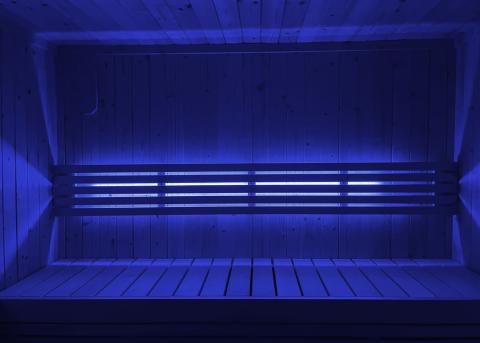 SaunaLife Mood Lighting for Model X7 Sauna - Sauna Heater Supply